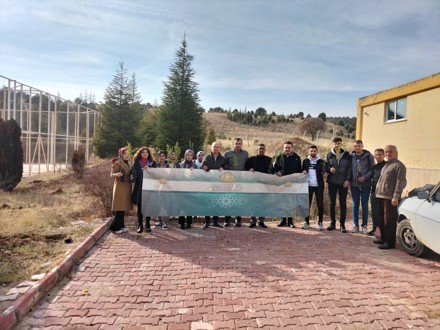 Her Çalışan Bir Fidan